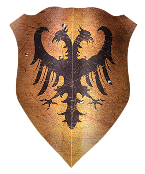 Medieval Heater Shield: Kingdom of France